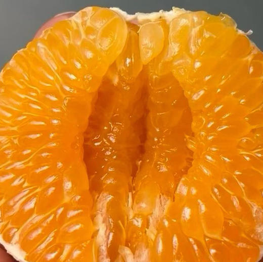 🍊大雅柑💰
滋味浓郁不寡淡
一颗大雅柑=1橙➕1橘➕柑
果肉粒粒细腻爆汁，好吃不上火
原生态果园，不打蜡！不打药！出口级果！坚持最初的味道❤‍‍﻿‎‍ ‏   ‌ ‍﻿﻿‌ 商品图1