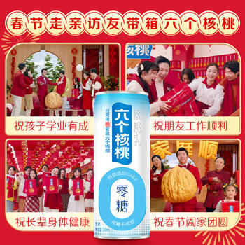 养元年货好礼六个核桃 无糖型 240ml*24罐整箱装【过年礼盒】 商品图0
