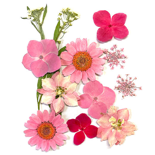 「20片装！收藏春天」干花书签手工diy材料透明标本瓶子里的春天自制压花植物花小学生玩具 商品图4