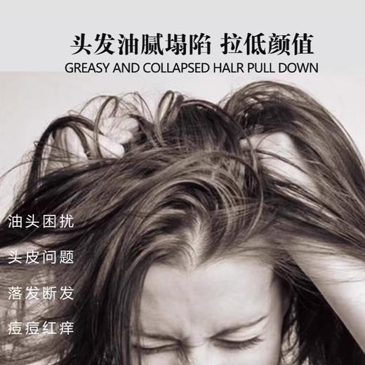 艾草洗发露 商品图2
