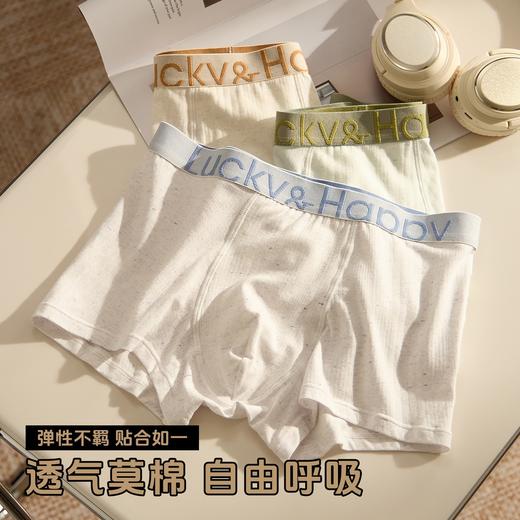 【GZ】年后发无忧购26年春款礼盒装4条装55元包邮男士内裤莫代尔棉防潮湿10A抑菌平角裤8789（预计2.26开始发货) 商品图3