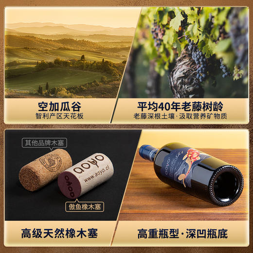 傲鱼智利原装原瓶进口赤霞珠红酒干红葡萄酒750ml 商品图4
