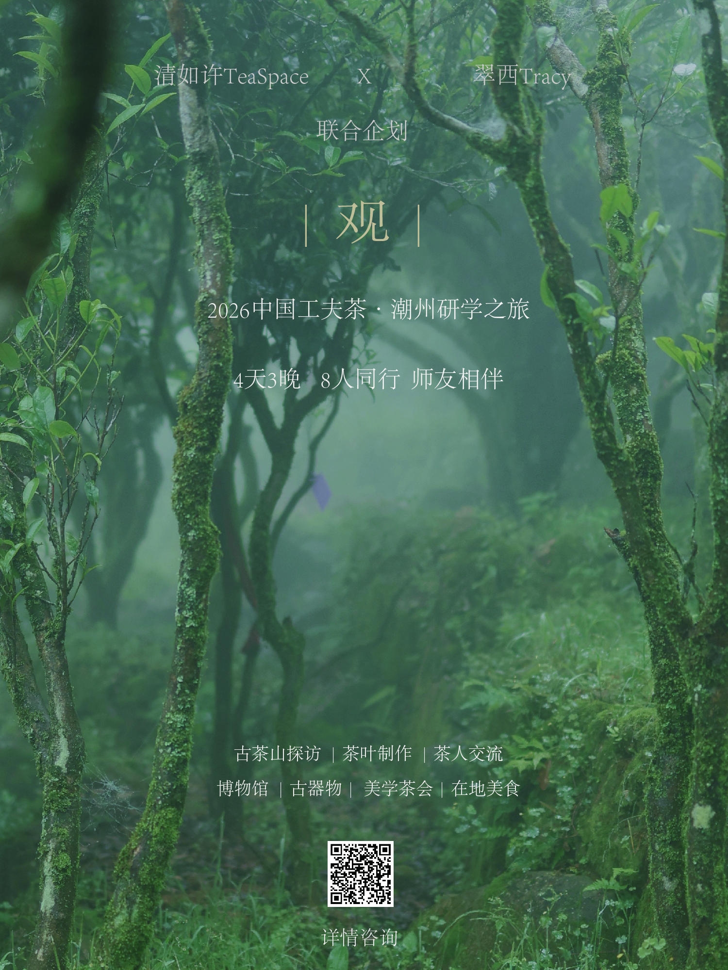 观｜2026中国工夫茶·潮州深度线下研学之旅 4月13日～4月16日