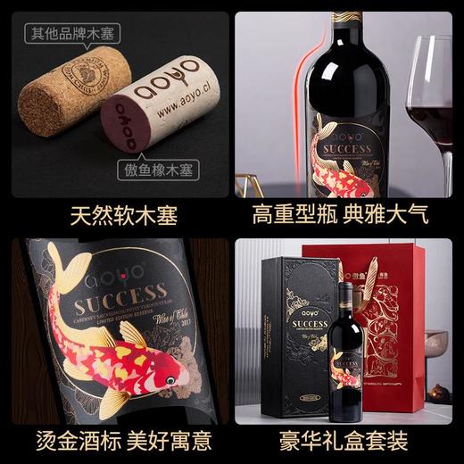 傲鱼智利原装原瓶进口红酒盛干红葡萄酒整箱送礼盒装 商品图3