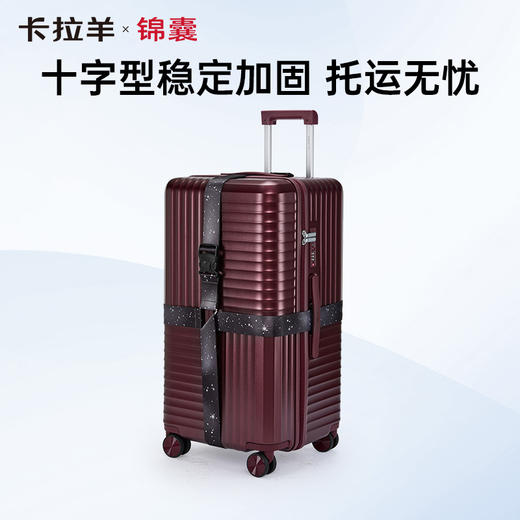 【捆箱带】可调节长度行李箱捆绑带适配全尺寸行李箱CN0653 商品图3