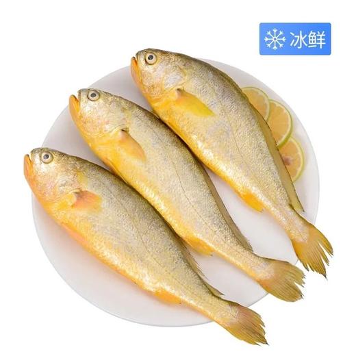 冰鲜黄花鱼（1200±50g） 商品图1