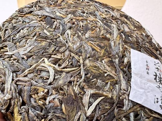 2025 单株惊鸿  十六棵大单株  易武秘境森林茶  普洱生茶 200克/饼 商品图6