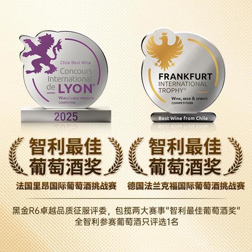 傲鱼智利原装原瓶进口红酒干红葡萄酒水果酒整箱 商品图1