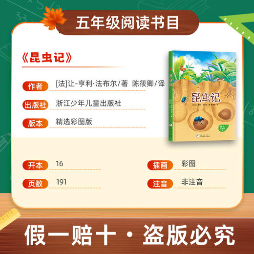 班班26春五年级《昆虫记》赠导读单 商品图1