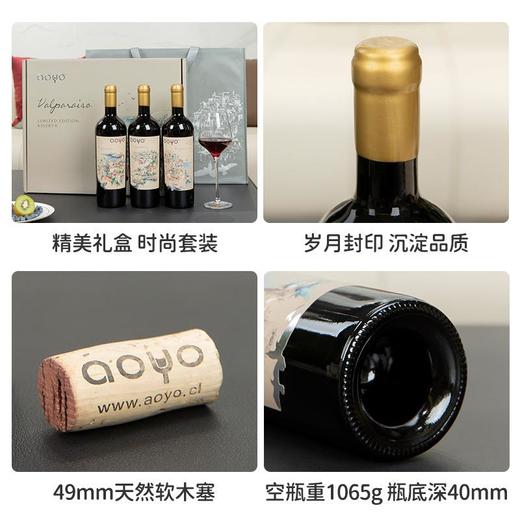 傲鱼智利原装原瓶进口红酒天堂之城红葡萄酒整箱礼盒装 商品图3