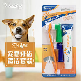 宠物牙膏牙刷狗狗猫咪洁牙狗猫指套小猫小狗一次性牙刷牙膏套装