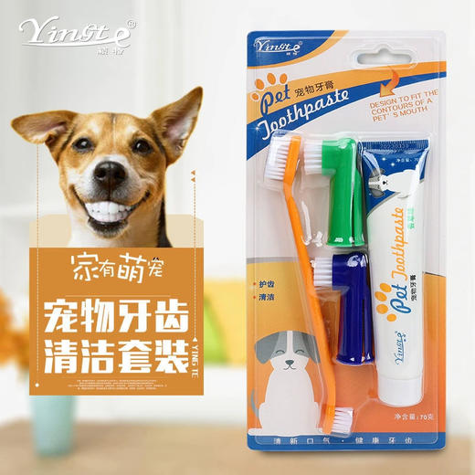 宠物牙膏牙刷狗狗猫咪洁牙狗猫指套小猫小狗一次性牙刷牙膏套装 商品图0