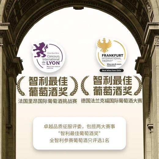 傲鱼智利原装原瓶进口红酒红葡萄酒水果酒整箱礼盒装 商品图2