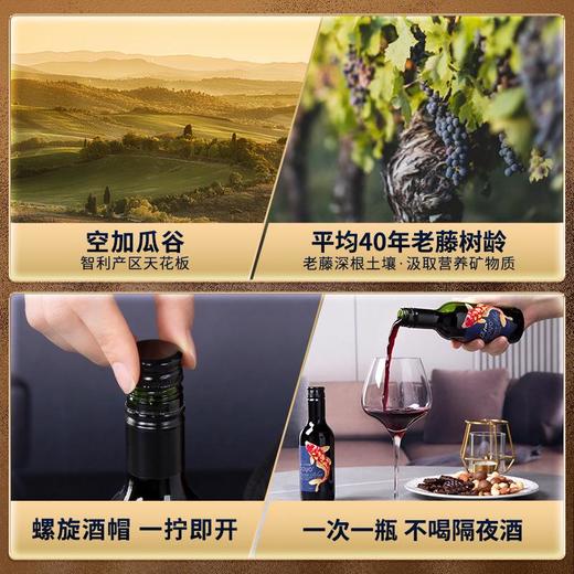 傲鱼小瓶红酒智利原装原瓶进口干红葡萄酒水果酒微醺小酒套装 商品图3