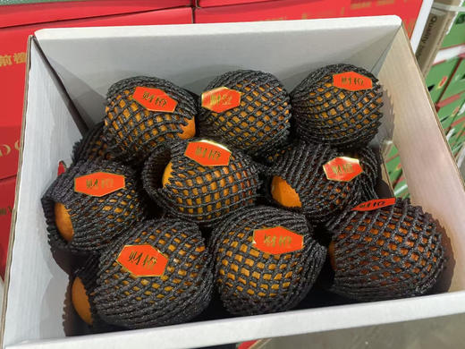 财橙  八方来财 商品图6