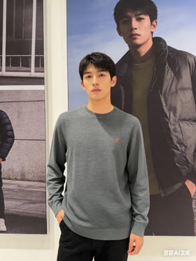 阿尔皮纳袋鼠针织衫