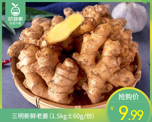 三明新鲜老姜（1.5kg±60g/份） 商品图0