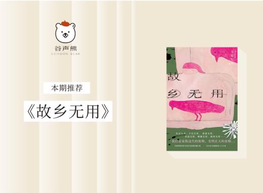 《故乡无用》：2024年《亚洲周刊》十大小说；女性视角下的“乡愁” 商品图0
