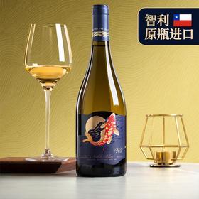 傲鱼智利原装原瓶进口红酒尊蓝W5干白葡萄酒水果酒整箱礼盒装