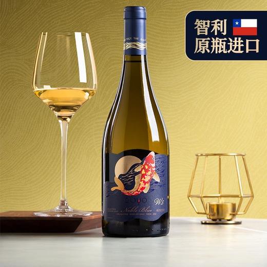 傲鱼智利原装原瓶进口红酒尊蓝W5干白葡萄酒水果酒整箱礼盒装 商品图0