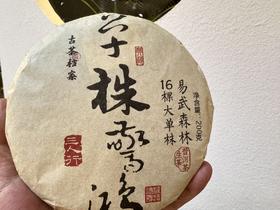 2025 单株惊鸿  十六棵大单株  易武秘境森林茶  普洱生茶 200克/饼