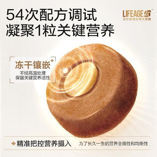 卫仕LA20全价鲜肉小型犬犬粮1.5kg（关键营养系列） 商品图3