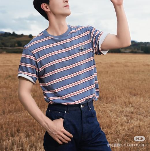 男款条纹logo短袖T恤la010 商品图1