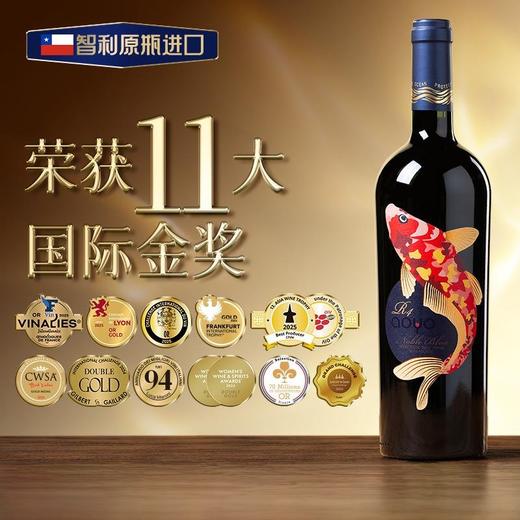 傲鱼智利原装原瓶进口红酒尊蓝R4干红葡萄酒水果酒礼盒整箱 商品图0
