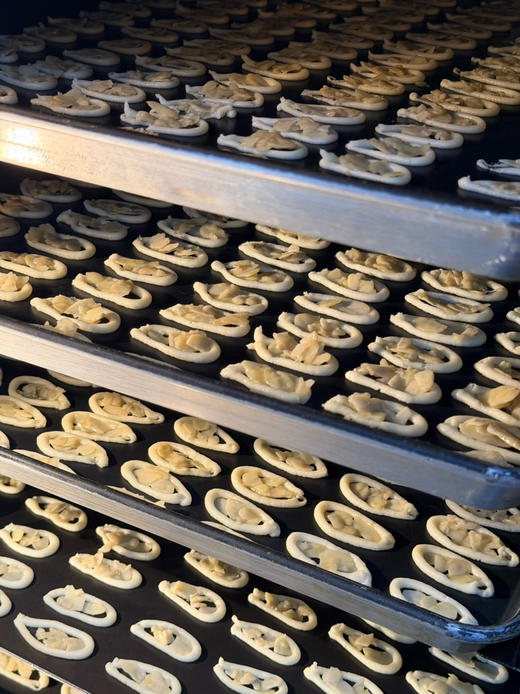 罗马盾牌 商品图2