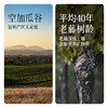 傲鱼智利原装原瓶进口红酒尊蓝R4干红葡萄酒水果酒礼盒整箱 商品缩略图3