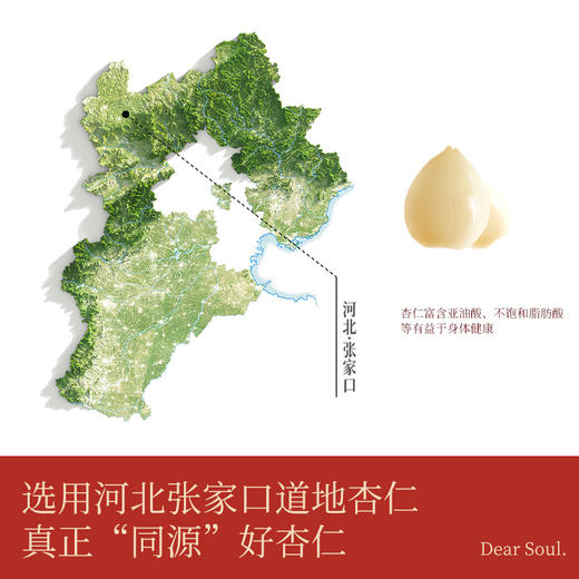 大树伯伯纯杏仁粉专利低温粉碎 商品图4