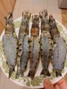 &深海大黑虎虾🦐超级靓，肉质紧实Q弹油焖白灼红烧皆可！新鲜活冻 商品缩略图5