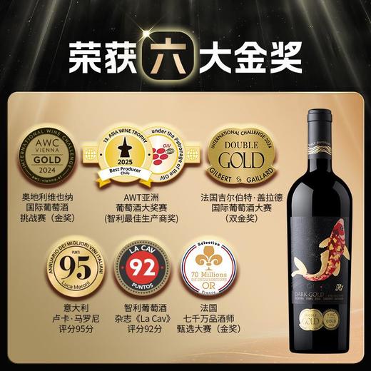 傲鱼智利原装原瓶进口红酒黑金R7干红葡萄酒整箱送礼盒装 商品图3