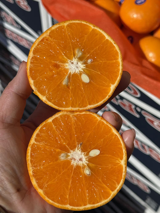 2ph蜜柑 商品图1