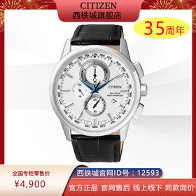 西铁城日本官方正品光动能万年历电波表防水休闲男表AT8110-11A