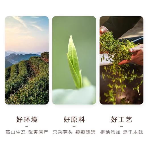 归岭丨金骏眉红茶特级浓香型正宗武夷山花果蜜香红茶叶散装罐装50g 商品图2