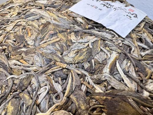 2025 单株惊鸿  十六棵大单株  易武秘境森林茶  普洱生茶 200克/饼 商品图5
