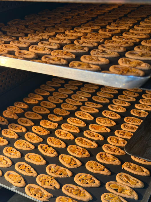 罗马盾牌 商品图3