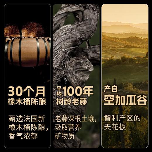 傲鱼智利原装原瓶进口红酒初干红葡萄酒水整箱送礼盒装 商品图1