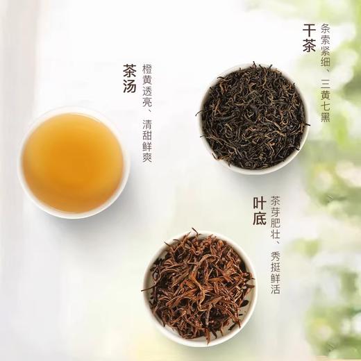 归岭丨金骏眉红茶特级浓香型正宗武夷山花果蜜香红茶叶散装罐装50g 商品图1