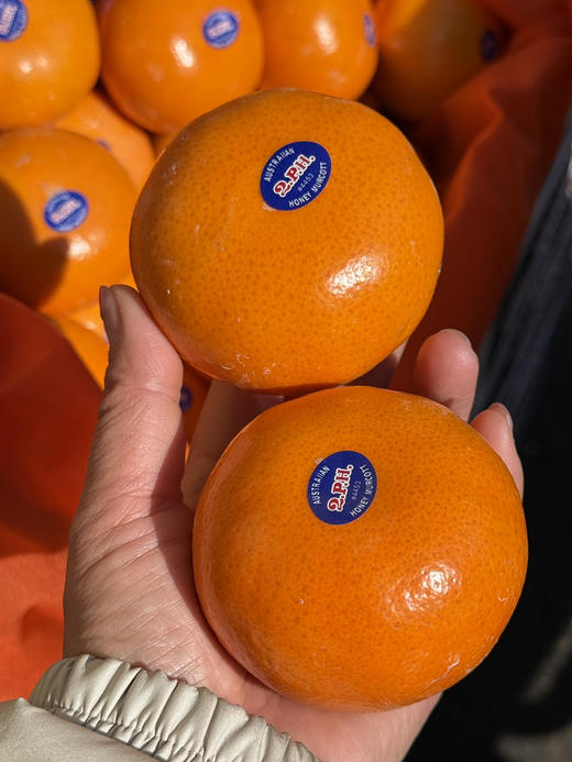 2ph蜜柑 商品图0