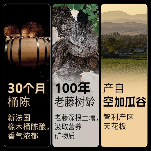 傲鱼智利原装原瓶进口红酒盛干红葡萄酒整箱送礼盒装 商品图2