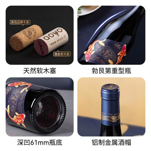 傲鱼智利原装原瓶进口红酒尊蓝R5干红葡萄酒整箱送礼盒装 商品图2