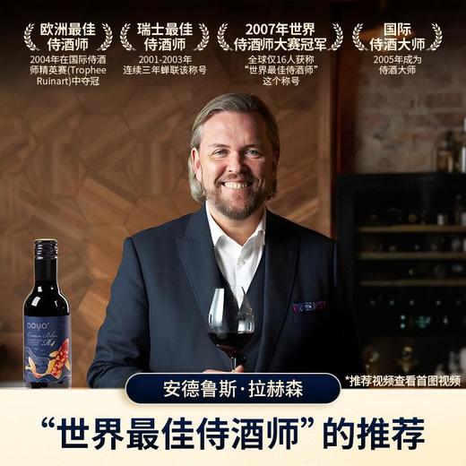 傲鱼小瓶红酒智利原装原瓶进口干红葡萄酒水果酒微醺小酒套装 商品图2