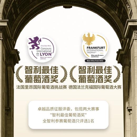 傲鱼智利原装原瓶进口红酒干红葡萄酒水整箱礼盒装 商品图6