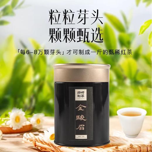 归岭丨金骏眉红茶特级浓香型正宗武夷山花果蜜香红茶叶散装罐装50g 商品图0