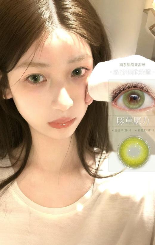 PISTA GREEN 豚草愿力【日抛】 商品图0