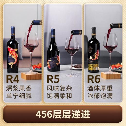 傲鱼智利原装原瓶进口红酒干红葡萄酒水整箱礼盒装 商品图5