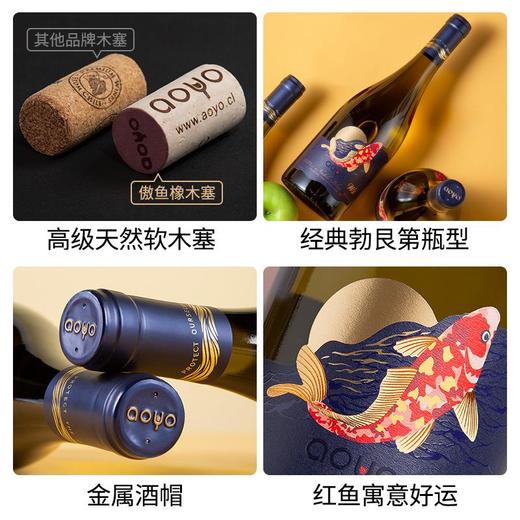傲鱼智利原装原瓶进口红酒尊蓝W5干白葡萄酒水果酒整箱礼盒装 商品图1