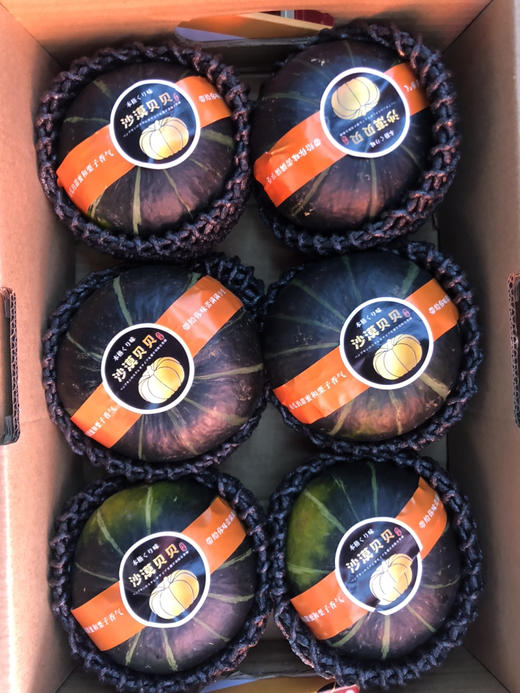 沙漠贝贝南瓜6个装10斤 商品图1